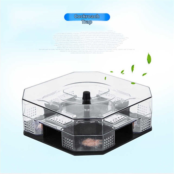 Musės plaktukas, tvirta konstrukcija, netoksiškas