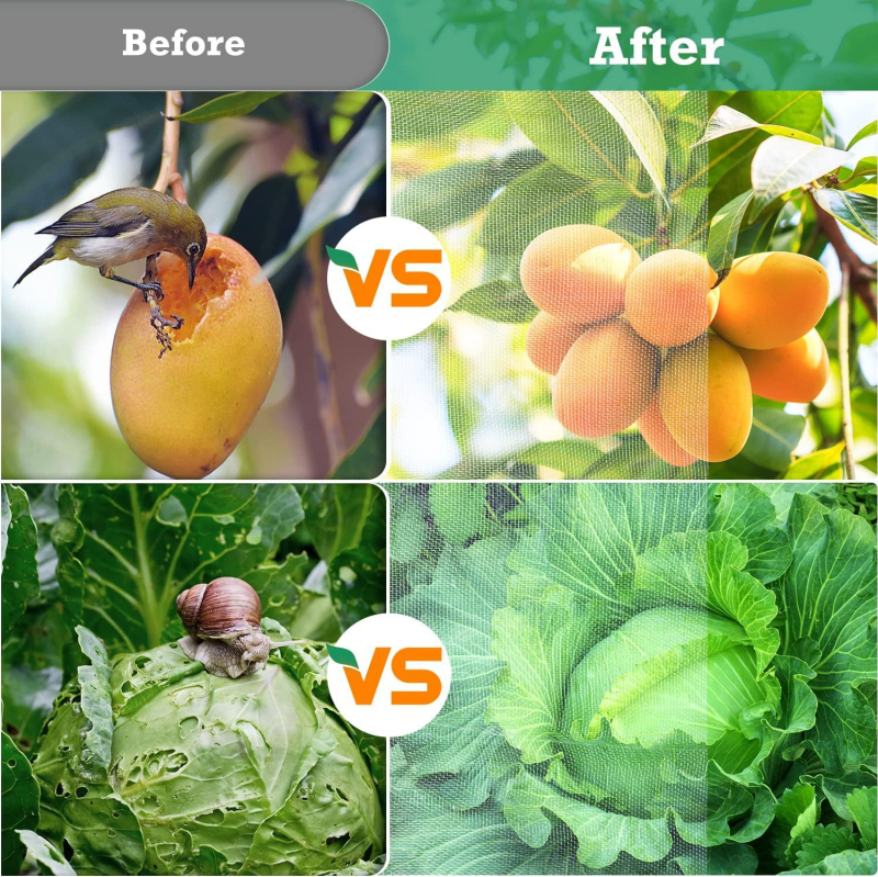 Kenkėjų apsaugos tinklas augalams ir daržovėms, Polietilenas, Tipas: Kenkėjų apsaugos tinklas, Prekės ženklas: Obo