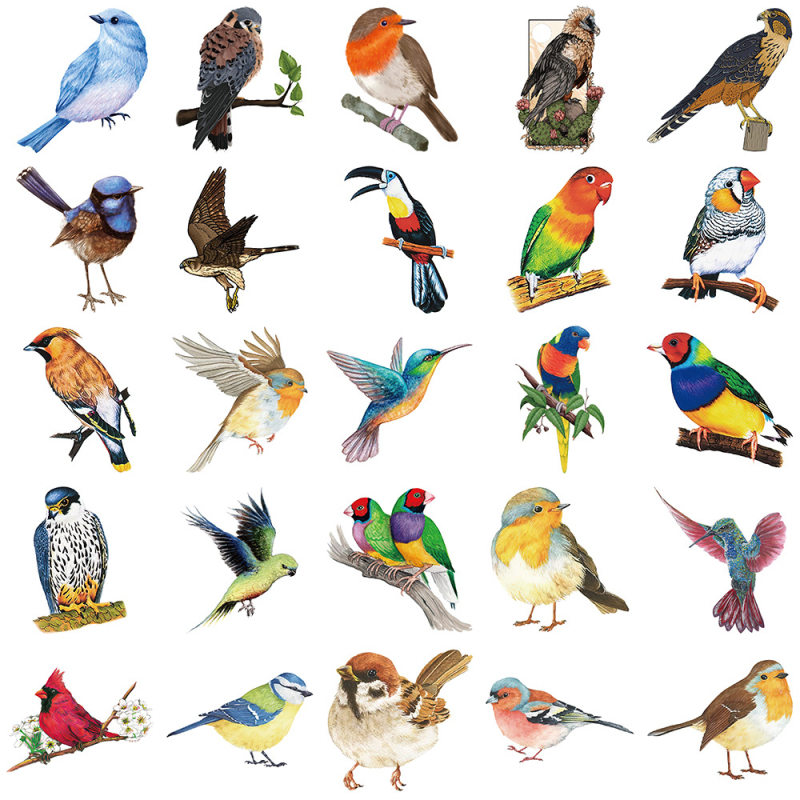 Painted Crow 50 darab öntapadós matricakészlet növényi madár motívumokkal, aranyos stílus, nyomtatott matricák