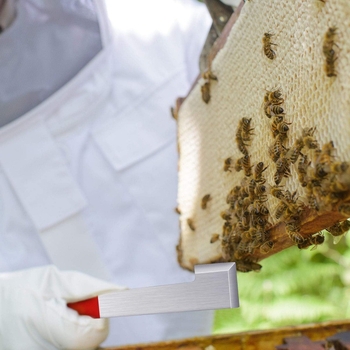 Εργαλείο μελισσοκομίας για κυψέλες, ανοξείδωτος χάλυβας, άγκιστρο τύπου J για πλαίσιο, διπλή βούρτσα-σκουπίστρα για μελίσσια, ξύστρα τύπου J με ουρά