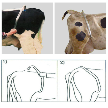 ZD No Kick Stick για βοοειδή, ρυθμιζόμενος γαλβανισμένος σωλήνας, εργαλείο για εκτροφής ζώων, εύρος 0-50°C