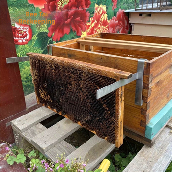 Ανοξείδωτος στηρίγμα ράφι για πλαίσιο φωλιάς μελισσών — Bee Thai