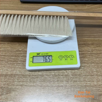 Beitai βούρτσα μελισσοκομίας - Μοντέλο 1, εργαλείο κυψέλης με πλαστικό χερούλι, καινούργιο