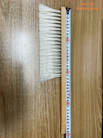 Beitai βούρτσα μελισσοκομίας - Μοντέλο 1, εργαλείο κυψέλης με πλαστικό χερούλι, καινούργιο