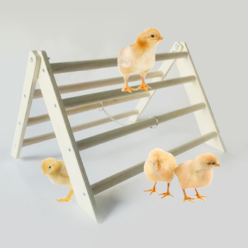 Дървен стенд за птици за папагали и кокошки — Constant Purple, авторизирана частна марка