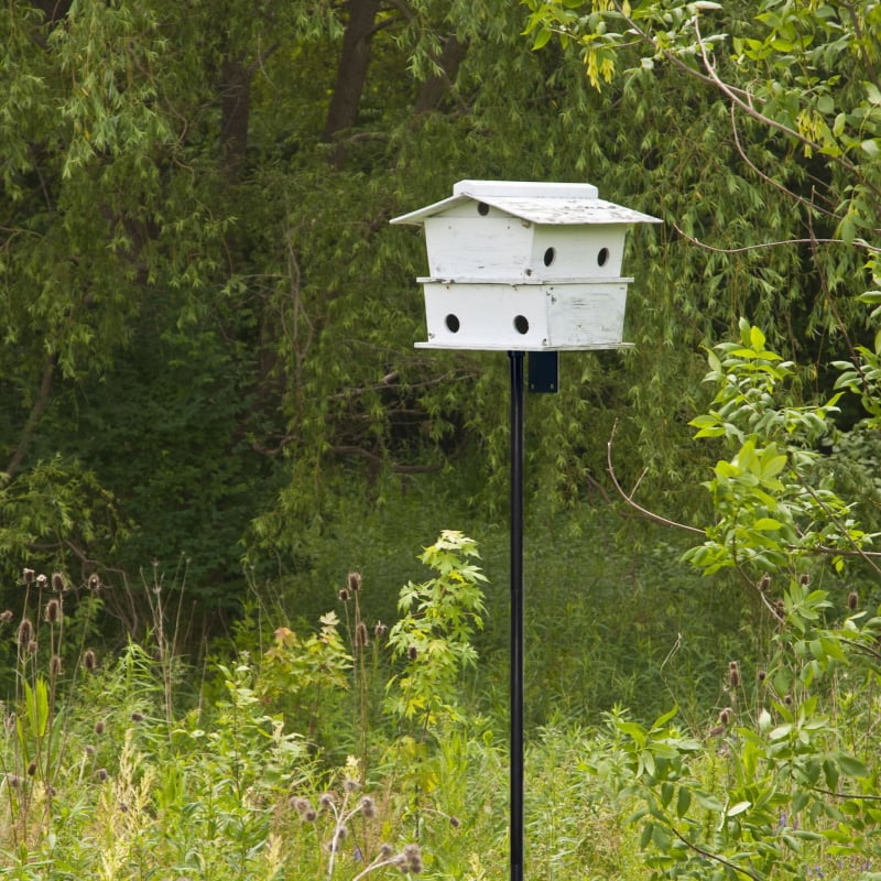 Weijuncheng vasból készült kertdekoratív madáretető oszlop