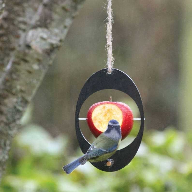 Krmilica za ptice za kolibri, viseća, metalni ukras