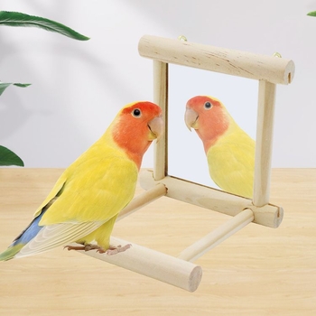 Papūgų varpelio žaislas ir paukščių laikiklis — narvo strypo priedas (Medžiaga: Kita; Kilmė: Kita; Importas: Ne; Skirta paukščiams)