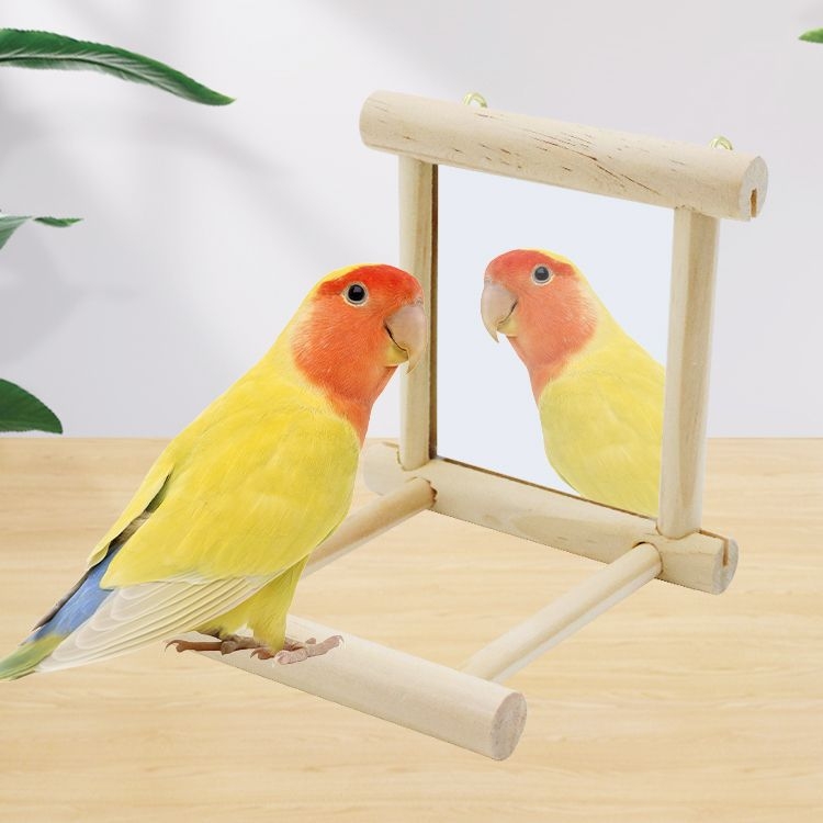 Papūgų varpelio žaislas ir paukščių laikiklis — narvo strypo priedas (Medžiaga: Kita; Kilmė: Kita; Importas: Ne; Skirta paukščiams)