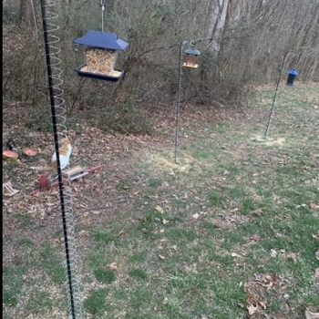 Външна хранилка с пружинен механизъм против катерици