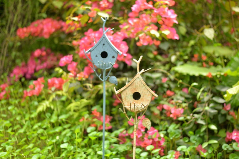 Kalto metalo sodo dekoras: paukščių namelis, gėlių laikiklis ir vijoklinių augalų atrama