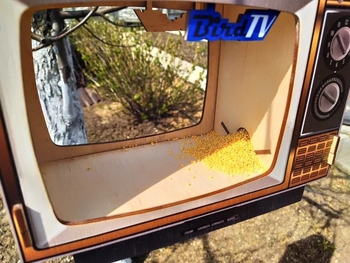 Medinė lesyklėlė paukščiams sode, TV formos, pagaminta Guangdong