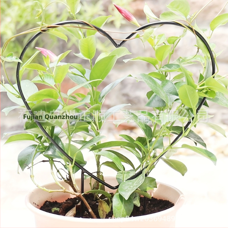 Μεταλλική στήριξη για αμπέλια αναρρίχηση με καρδιά-σχήματος στηρίγμα για κήπο και μπαλκόνι – Zhengshun, μέταλλο, ημιχειροκίνητη και ημιμηχανική παραγωγή, δυνατότητα προσαρμογής.