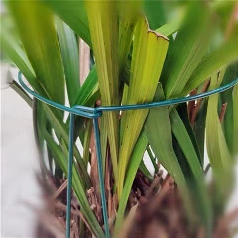 Vrtni željeznički stup za potporu biljaka, Q195 čelični cijev s PE oblogom, za vrt — Yuchi Gardening