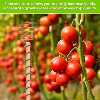 Τριμερής χαλκο-ξύλινη υποστήριξη φυτών για κήπο
