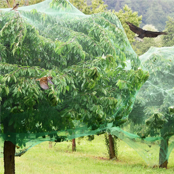 Δίκτυ προστασίας πουλιών κήπου από PE με σκοινί, για φρούτα, λαχανικά, σταφύλια και θερμοκήπιο