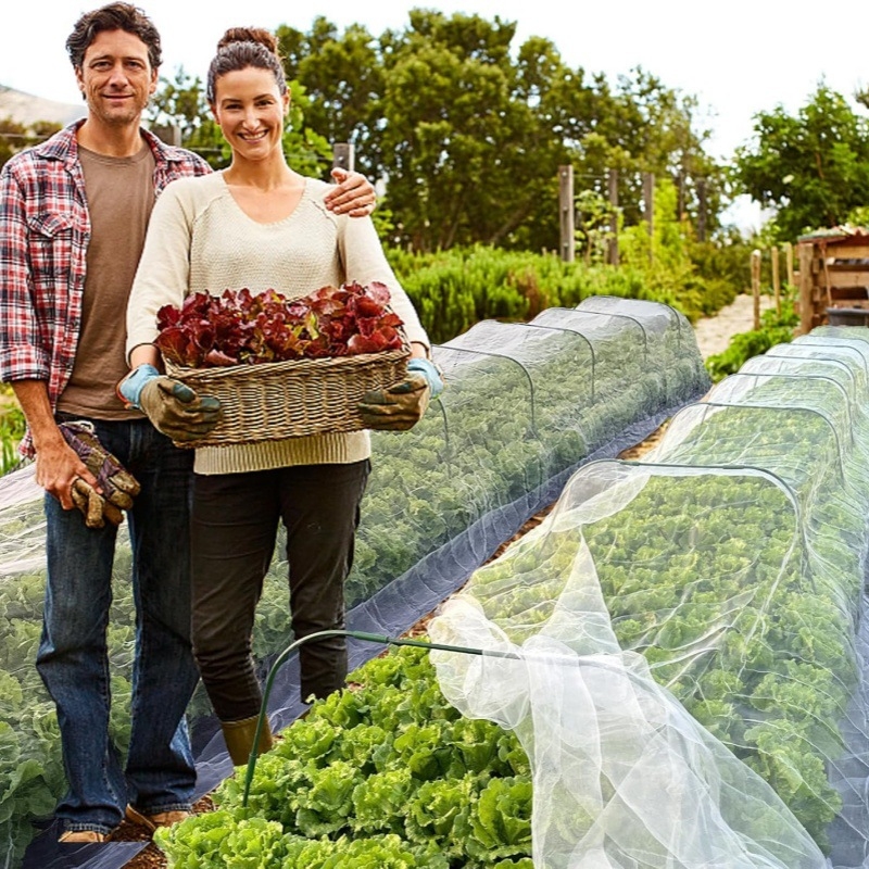 Lauko sodo šiltnamio kirtomas tinklas – apsauga nuo kenkėjų ir paukščių; Medžiaga: HDPE/Polietilenas; Oka: 60; Pluošto skersmuo: 10; Tarnavimo laikas: 5 metai; Prekė: Dream Voyage