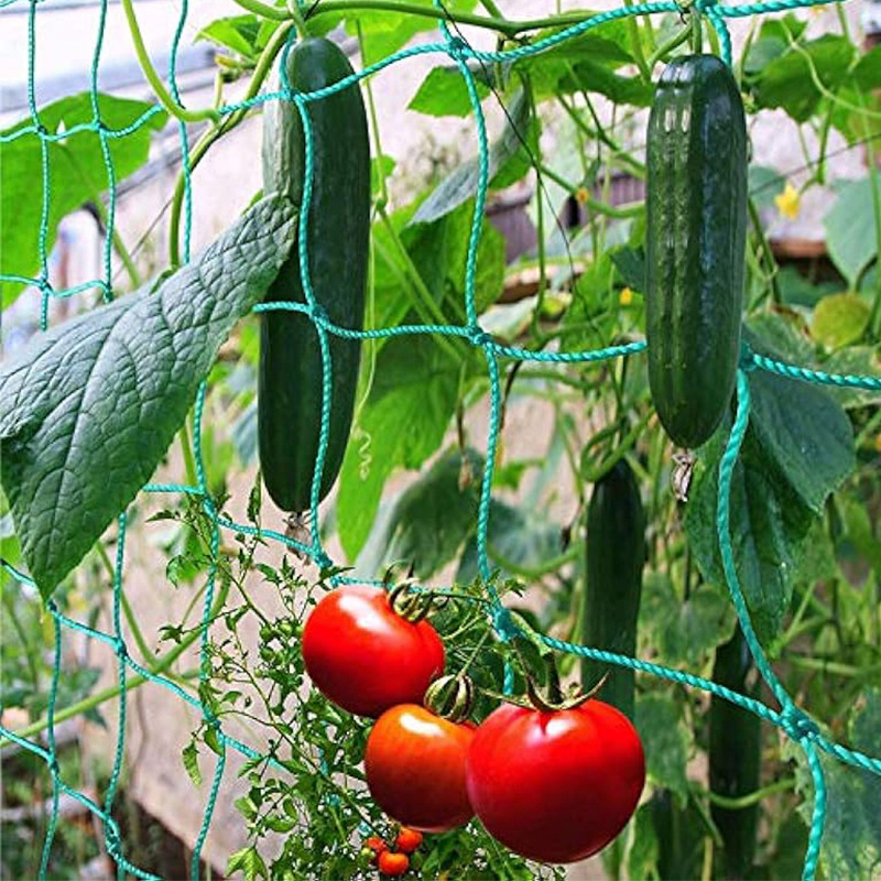 Plasă plastic pentru urcarea plantelor Blazetrail – pentru grădini de acasă, balcoane cu legume, parcuri