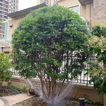 Πτηνοπροστατευτικό αγροτικό δίχτυ για οπωρώνες και δέντρα φρούτων — διακοσμητικό κήπου δίχτυ προστασίας από πουλιά, μη εισαγόμενο