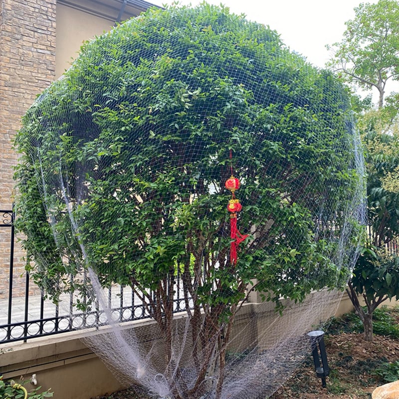 Madárvédelmi mezőgazdasági háló gyümölcsfákhoz és erkélyekhez — kertészeti díszháló, nem importált