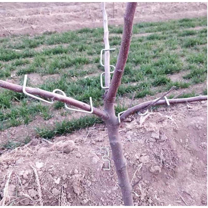 Set de trei piese pentru presarea și modelarea ramurilor, unelte de bonsai pentru trandafiri, copaci în formă M, citrice și rodii