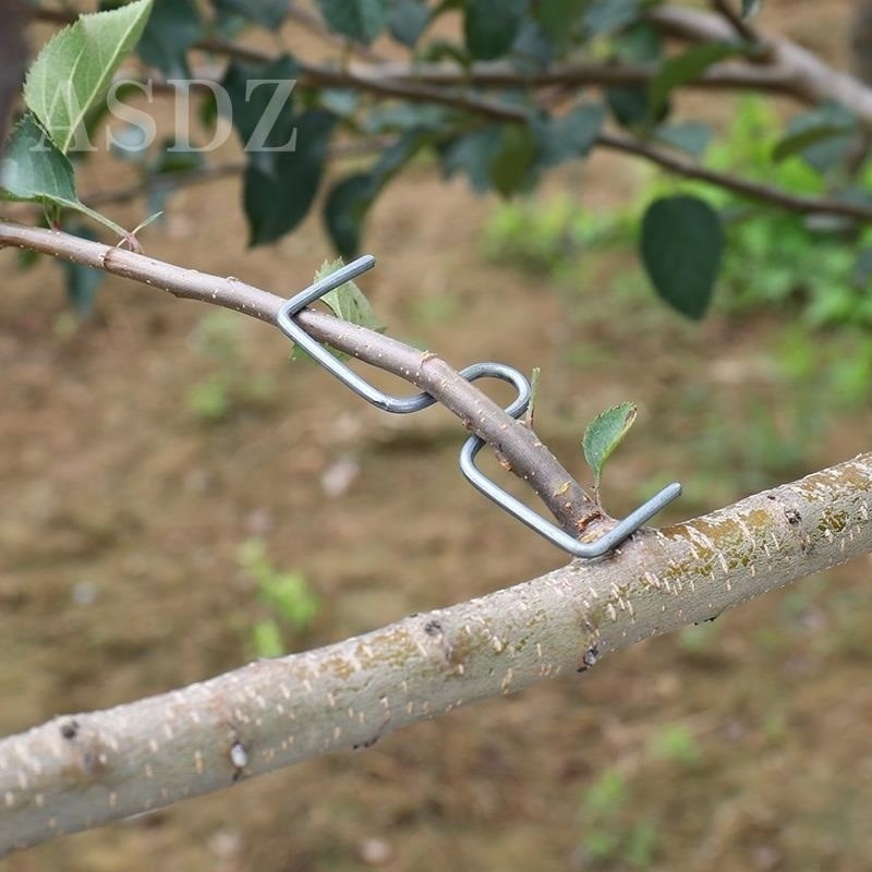 Set de trei piese pentru presarea și modelarea ramurilor, unelte de bonsai pentru trandafiri, copaci în formă M, citrice și rodii