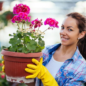 Στήριγμα στελεχών για γλάστρες, κατασκευή αναρρίχησης για φυτά σε γλάστρες, μη εισαγόμενο