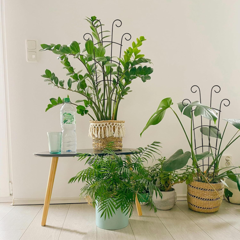 Geležinis kopimo rėmas lauko vazonams, kombinuotas naudojimas