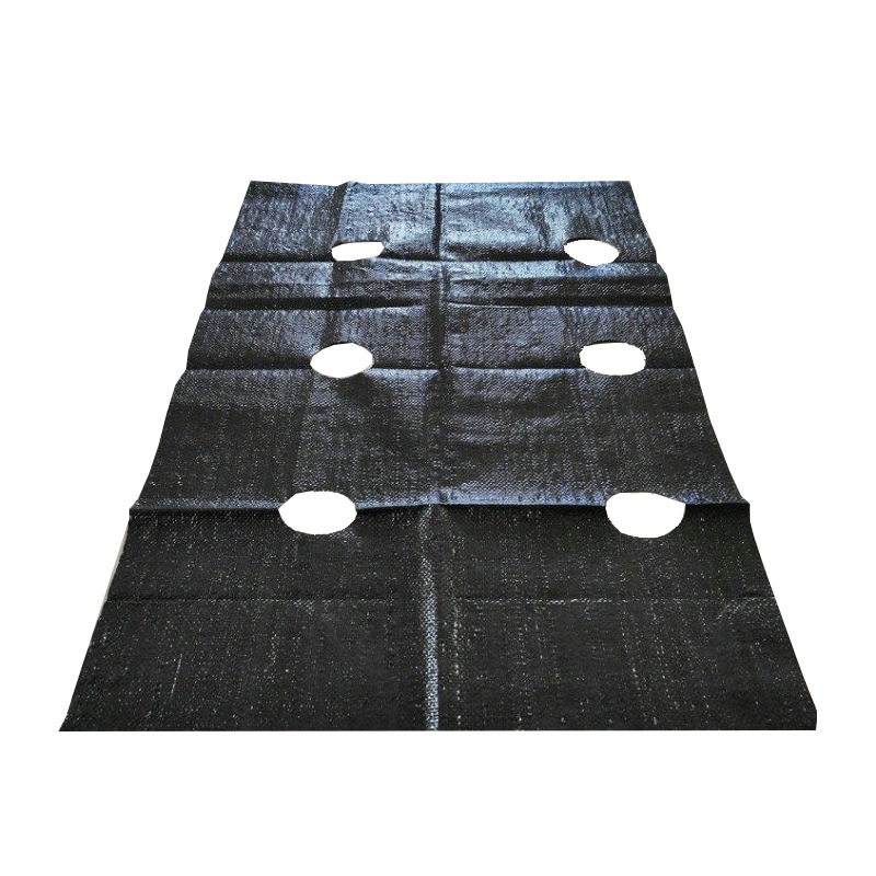 Διατρητό ύφασμα κατά των ζιζουλίων για πυκνή φύτευση – Υλικό PP, ύφανση με λωρίδες, προσαρμόσιμο