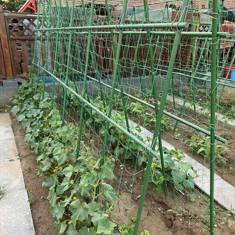 Пластмасова опорна рамка за катерещи растения, еднослойна конструкция; подходяща за цветя, зеленчуци, домати, грозде и фасул; печат на лого и персонализиране налични