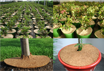 Κηπουρικά διακοσμητικά αντικείμενα — κυκλικός προστατευτικός δίσκος γλάστρας από φυσικά ινά καρύδας, φράγμα κατά ζιζανίων και σκόνης, κατάλληλος για παχύφυτα