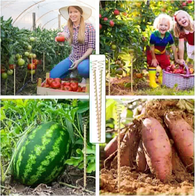 Електрическо колче за растения с медна навивка и дървен корпус – опора за растения