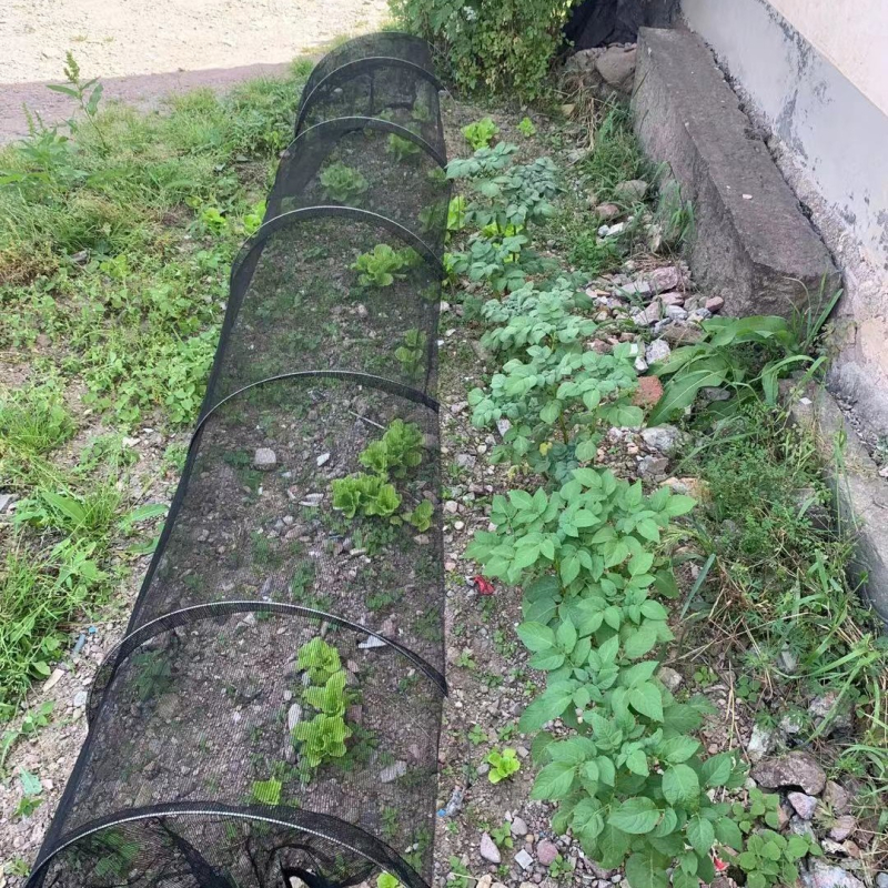 Augalų apsaugos tinklas nuo kenkėjų – Augimo tunelis (Medžiaga: polietilenas)