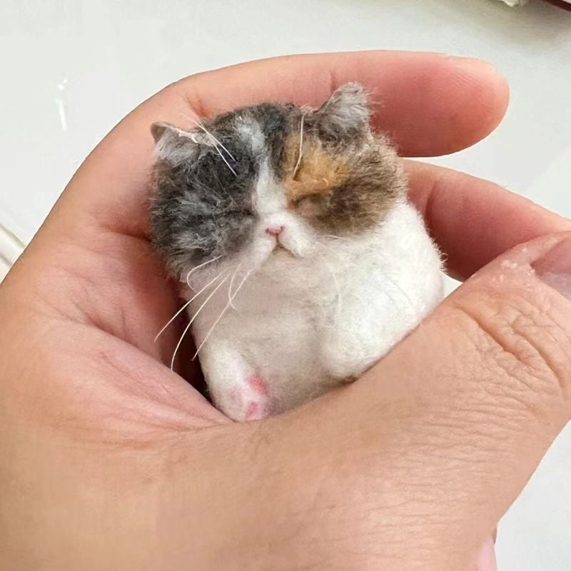 DIY készlet gyapjúfilcből macskának — kezdőknek, kézzel készült kreatív ajándék