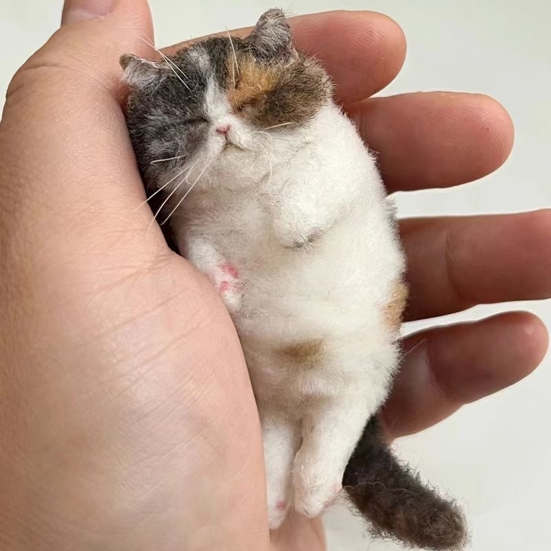 DIY készlet gyapjúfilcből macskának — kezdőknek, kézzel készült kreatív ajándék