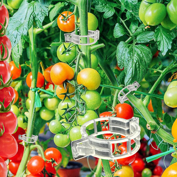Κλιπ στήριξης φυτών για λαχανικά και φρούτα, πλαστικό κλιπ PE για δέσιμο αμπέλου, με δαχτυλιδάκι ντομάτας