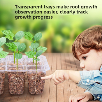 Θήκη σπορόφυτων από πλαστικό – αναπνοέουσα, διαφανής και ανθεκτική; βιοδιασπώμενο πλαστικό; κατάλληλη για επιτραπέζια ή όρθια χρήση; στυλ θερμοκήπιο, για γραφείο, οικιακή κηπουρική και μπαλκόνι