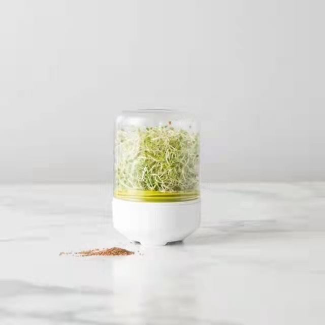 Σετ βλάστησης φασολιών από PP για κουζίνα, βάση δαπέδου