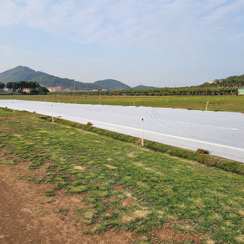 Κηπουρικό ύφασμα προστασίας από το κρύο (PP πολυπροπυλένιο, πλαστική ταρπάν, προέλευση Foshan)