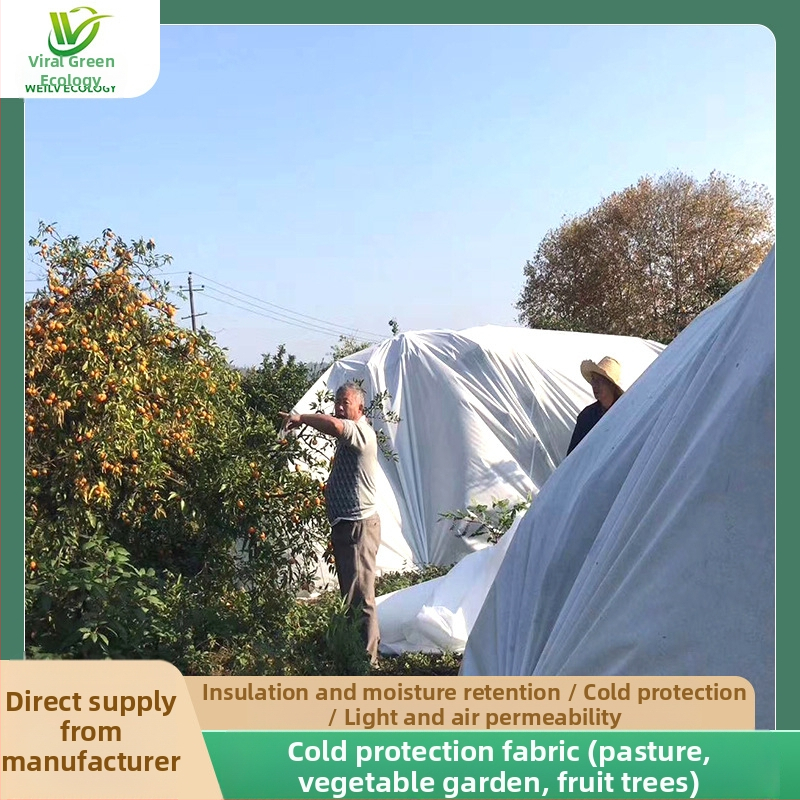 Κηπουρικό ύφασμα προστασίας από το κρύο (PP πολυπροπυλένιο, πλαστική ταρπάν, προέλευση Foshan)