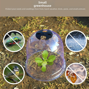 Kimang PET προστατευτικό κάλυμμα σπορόφυτων για θερμοκήπιο και φροντίδα σπορόφυτων