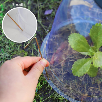 Kimang PET προστατευτικό κάλυμμα σπορόφυτων για θερμοκήπιο και φροντίδα σπορόφυτων