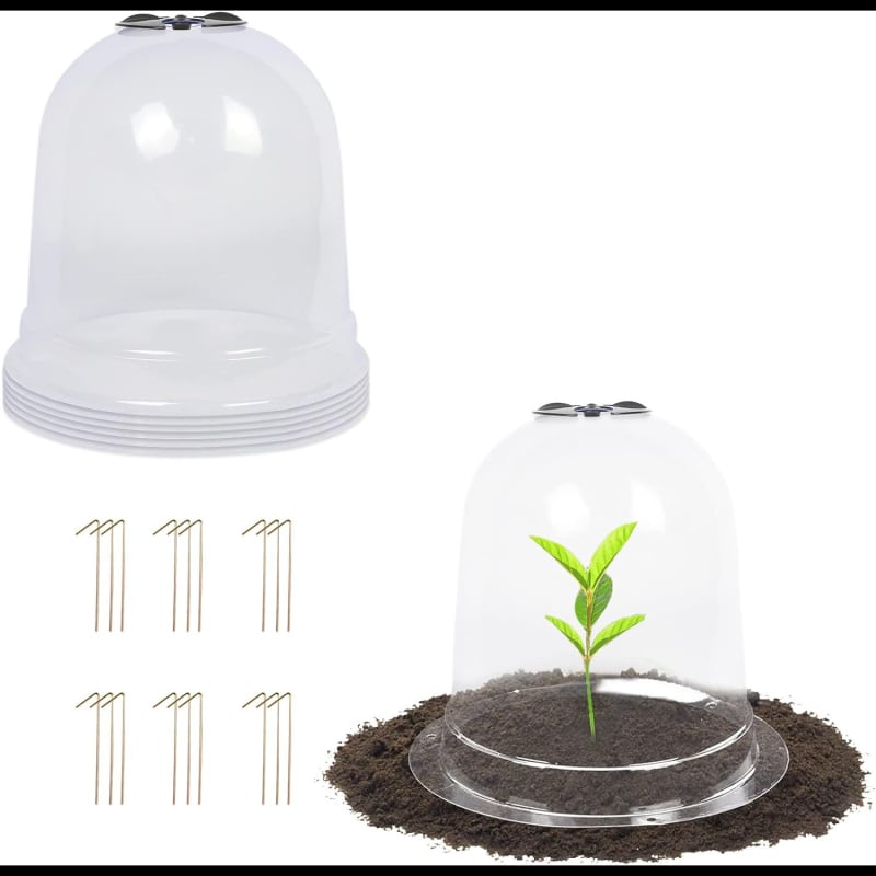 Kimang PET palánta védőfedél üvegházhoz és palánta ápoláshoz