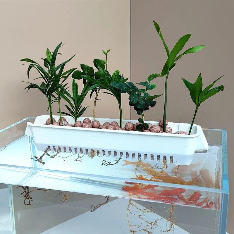 Sienas piestiprināms hidroponikas augu trauks ar tukšu stādīšanas grozu (Izcelsme: Šandongā)