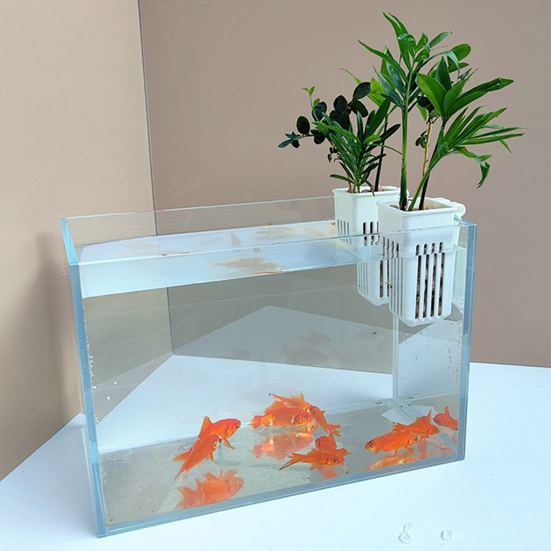 Sienas piestiprināms hidroponikas augu trauks ar tukšu stādīšanas grozu (Izcelsme: Šandongā)