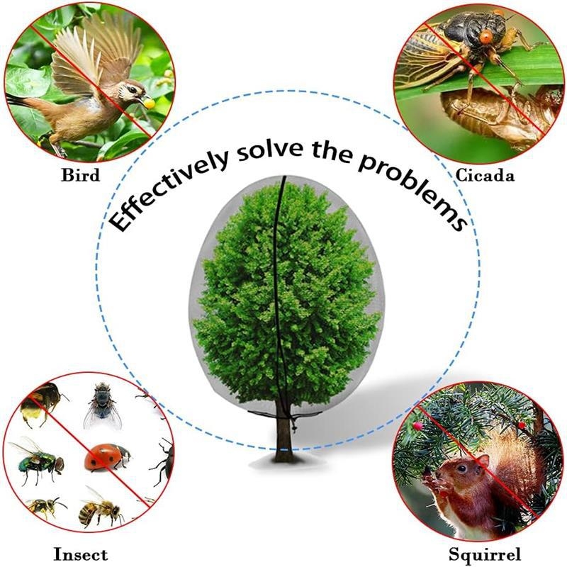 Növényekre tervezett rovarvédő háló, polietilén, húzózsinóros zárás, védelem rovarok és madarak ellen — Dream voyage