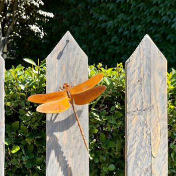2 τεμάχια μεταλλικά γλυπτά dragonfly για τοίχο κήπου, μοντέρνο μινιμαλιστικό στυλ