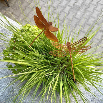 2 τεμάχια μεταλλικά γλυπτά dragonfly για τοίχο κήπου, μοντέρνο μινιμαλιστικό στυλ