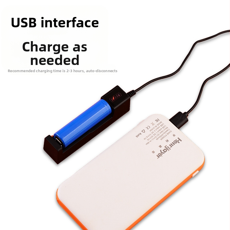 Renlong Electronics USB зарядно за литиеви батерии 18650/14500, едно гнездо, 4.2V 1A, CE сертифицирано