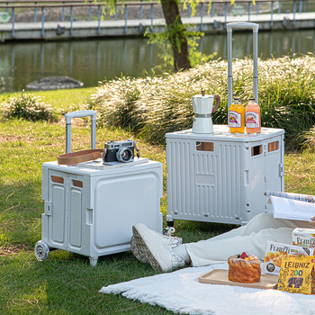 Πτυσσόμενο τετράτροχο καρότσι αγορών, ελαφρύ πλαστικό, χειροκίνητο τράβηγμα, μινιμαλιστικός σχεδιασμός, χωρητικότητα 10 kg